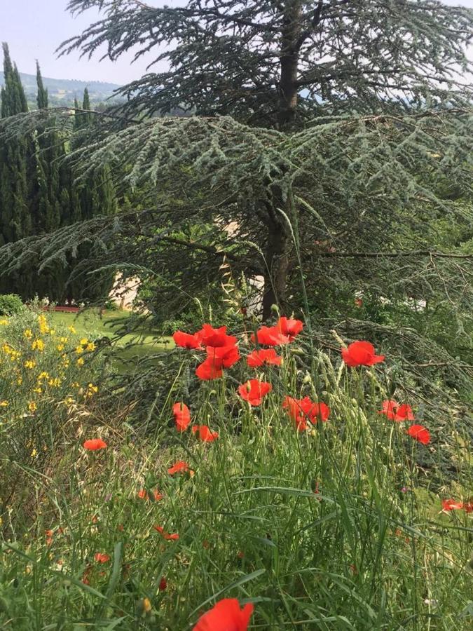 Casale Sant'Elia Bed and Breakfast Capranica Buitenkant foto